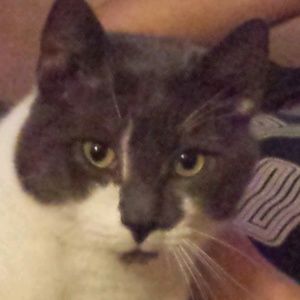 Meet your Posher, Connie